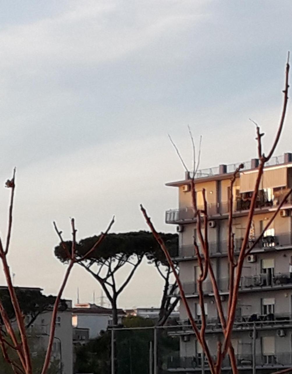 Bed and Breakfast Mare Azzurro Torre del Greco Zewnętrze zdjęcie